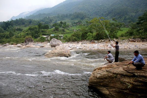 Picture 2 of A precious gold fish at the foot of Hoang Lien mountain