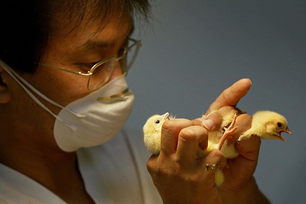 Picture 15 of A series of jobs that no one believes will exist in the world