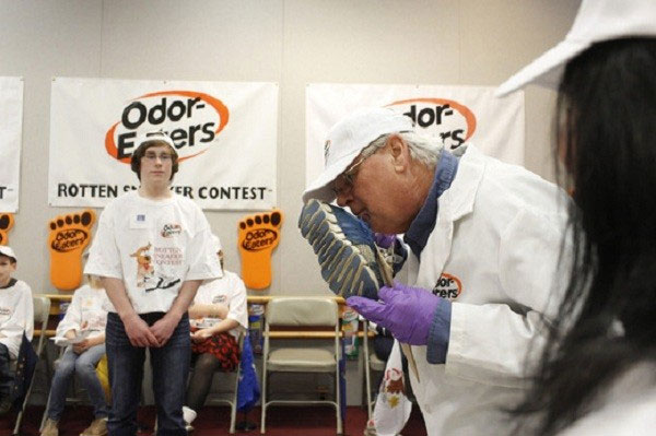 Picture 8 of A series of jobs that no one believes will exist in the world