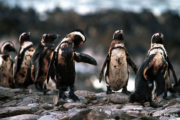 Picture 9 of A series of shocking photos about environmental pollution