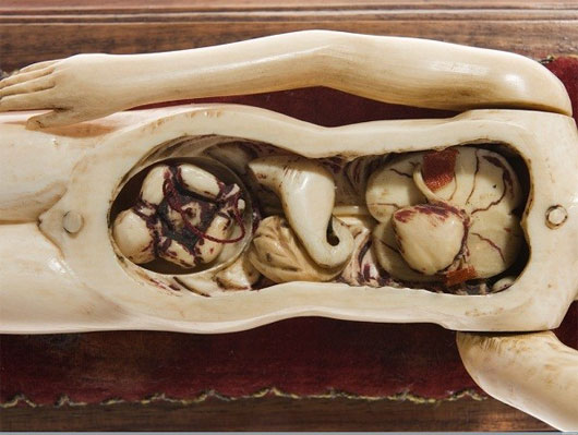 Picture 2 of A variety of gruesome to sexy magnetic anatomical models of the past