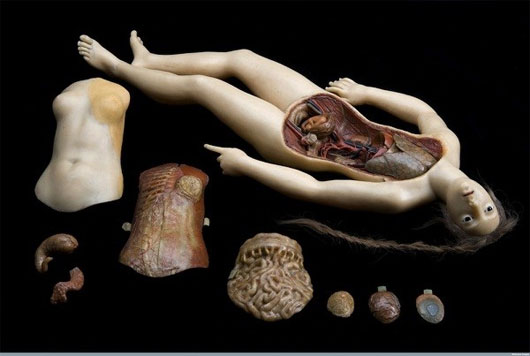 Picture 9 of A variety of gruesome to sexy magnetic anatomical models of the past