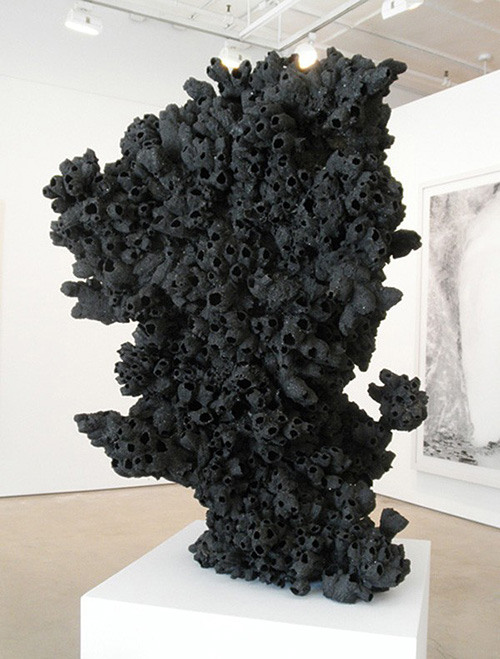 Picture 3 of A variety of images in the environmental disaster