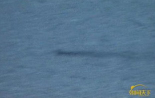 Picture 1 of A witness turned the Loch Ness monster