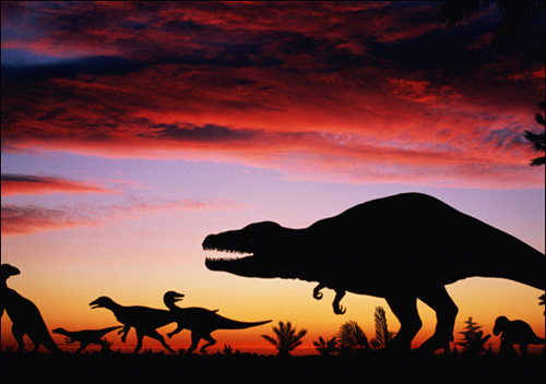 Picture 1 of Absolute dinosaurs destroyed for two owls