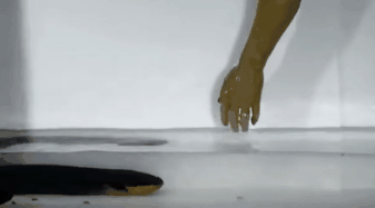 Picture 4 of Accidentally proved the 200-year-old horror theory of electric eel