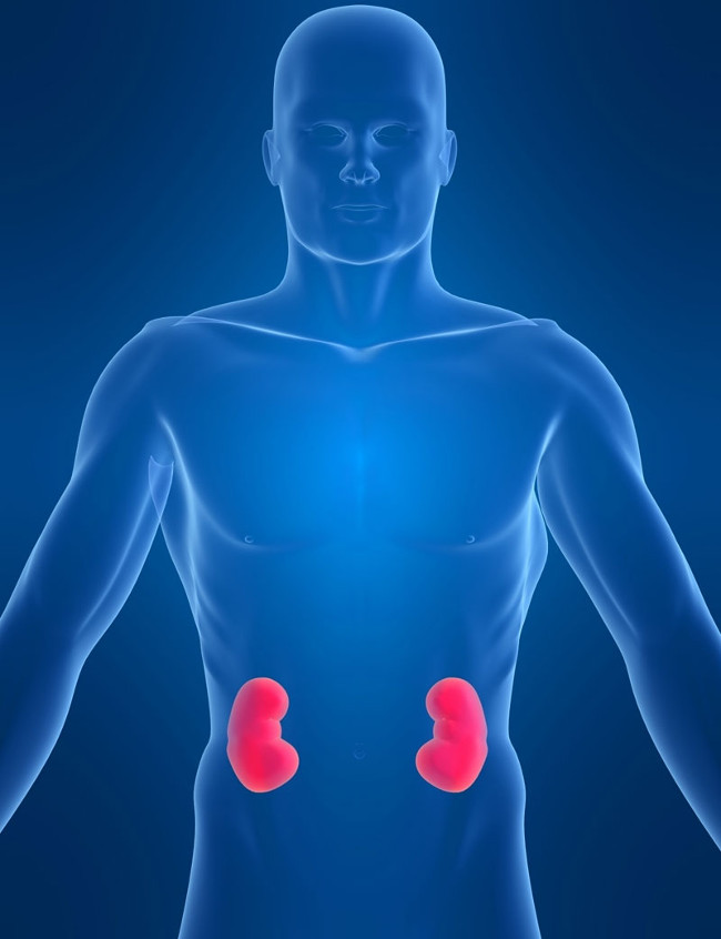 Picture 1 of Acute glomerulonephritis: Symptoms, causes and prevention