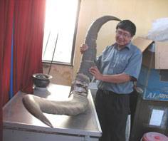 Add a base on the huge mammal species available in Vietnam images 1