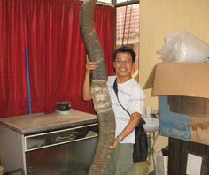 Add a base on the huge mammal species available in Vietnam images 2