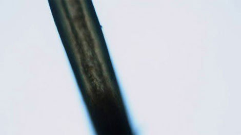 Picture 1 of Add evidence about monsters half-human beasts