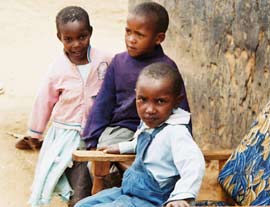 Add iron to cereals to reduce the risk of anemia in children images 1