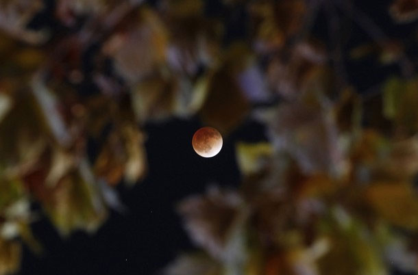 Picture 1 of Admire eclipses from around the world
