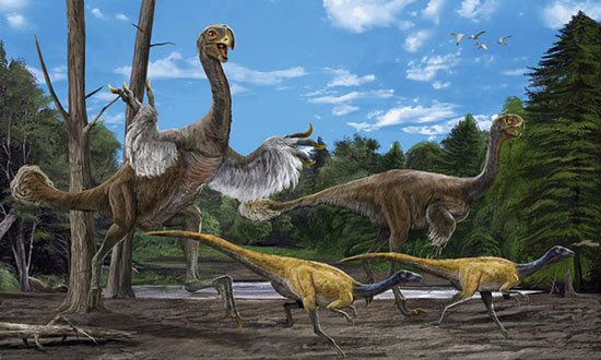 Picture 7 of Admire the dinosaur museum in China