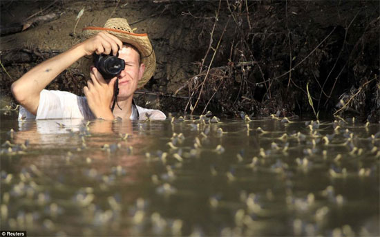 Picture 5 of Admire the ephemeral species 'reunion' on the river