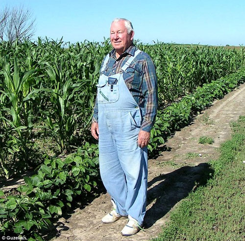Picture 5 of Admire the exotic polychrome corn in America