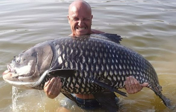 Picture 11 of Admire the giant Siamese carp caught in the Mekong River