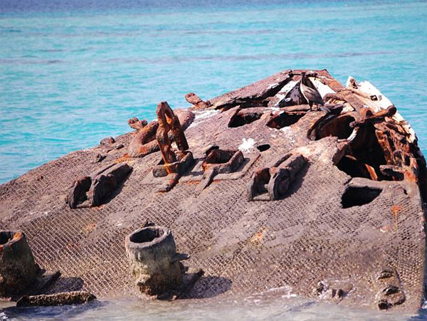 Picture 6 of Admire the graveyard of the shipwreck in the Bermuda triangle