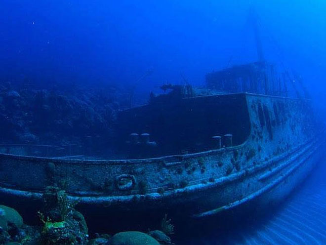 Picture 9 of Admire the graveyard of the shipwreck in the Bermuda triangle