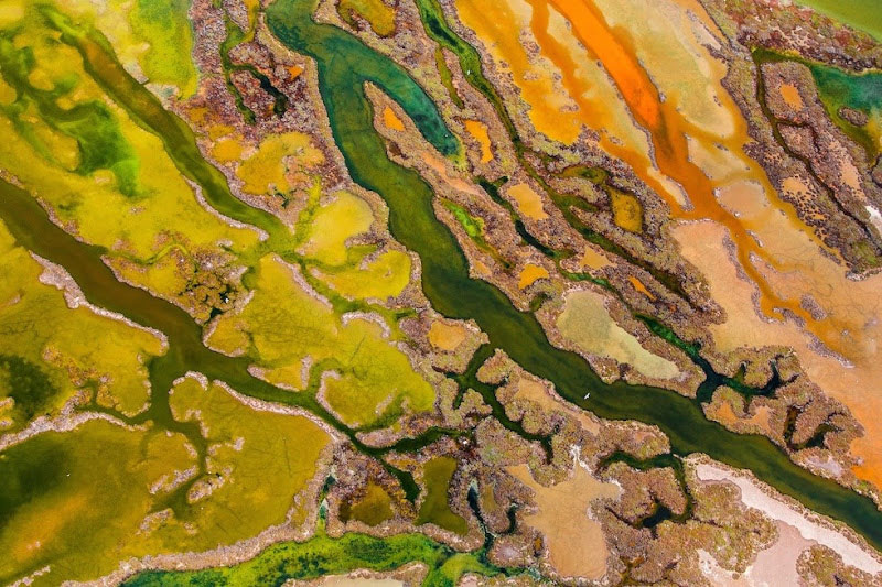 Picture 13 of Admire the incredible photos of 2015