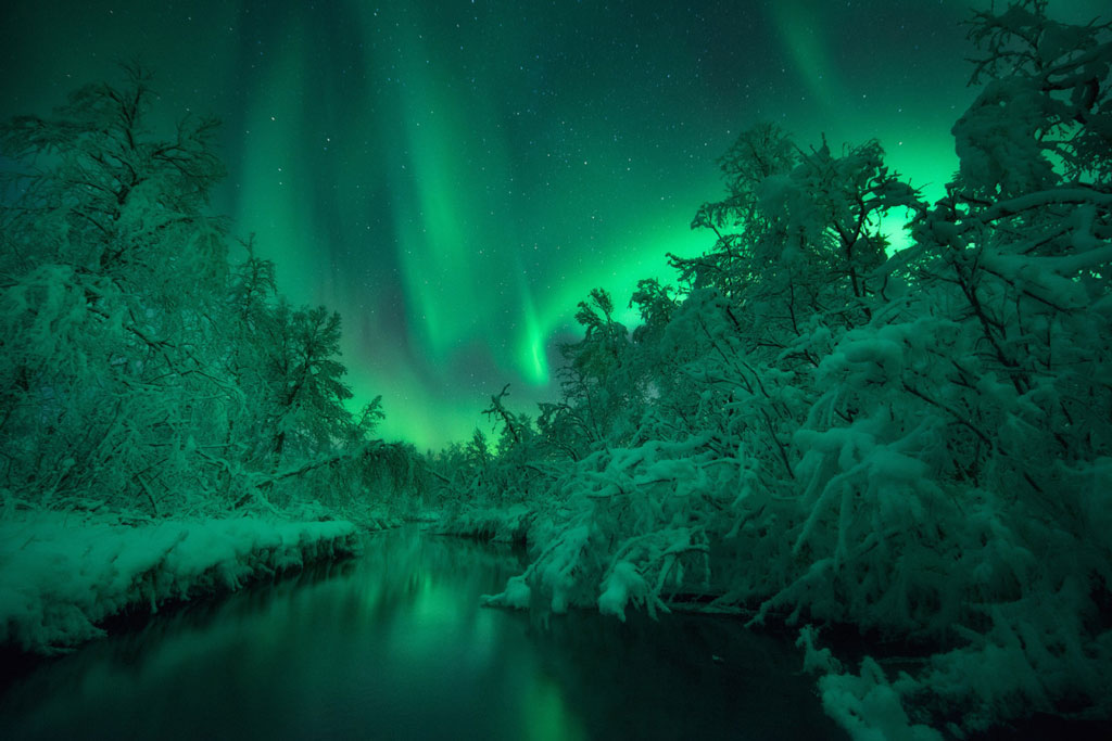 Picture 6 of Admire the incredible photos of 2015