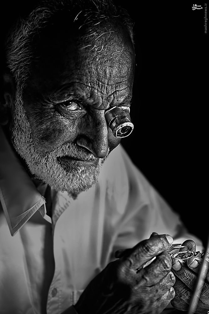 Picture 8 of Admire the incredible photos of 2015