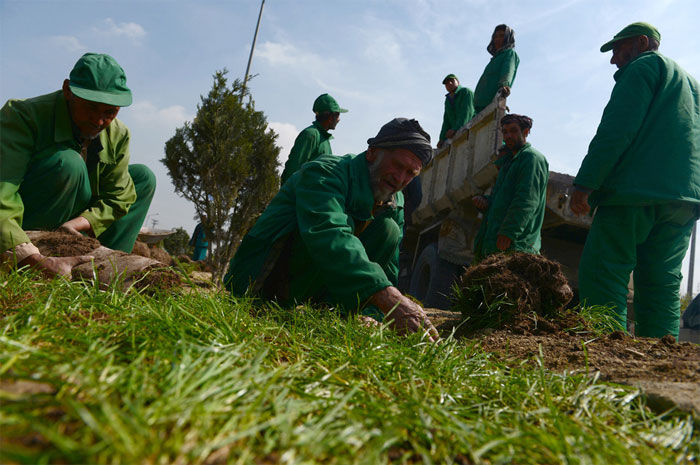 Picture 11 of Admire the photo: Earth Day 2014