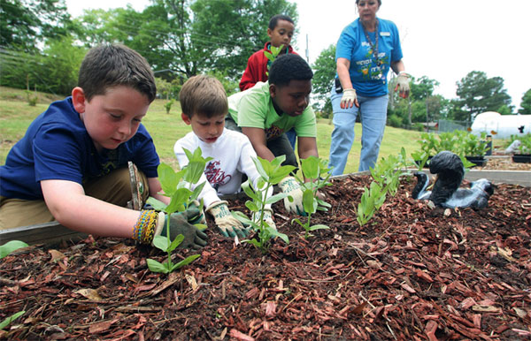 Picture 9 of Admire the photo: Earth Day 2014