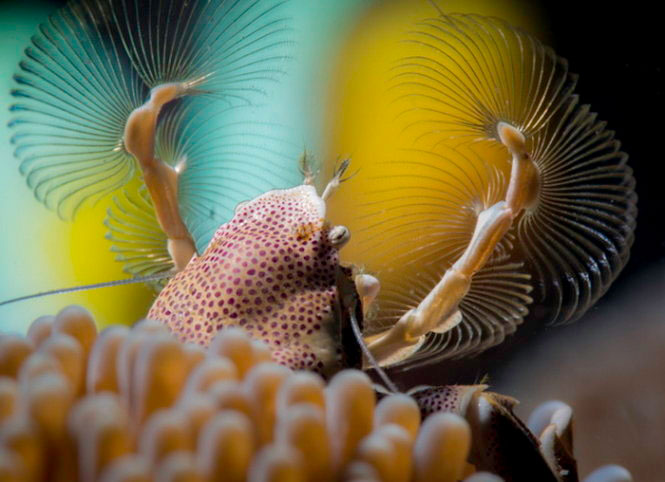 Picture 5 of Admire the photo won the 2014 National Photographer Award