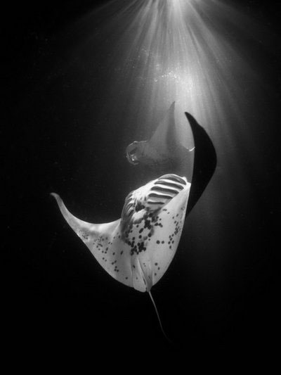 Picture 8 of Admire the photo won the 2014 National Photographer Award