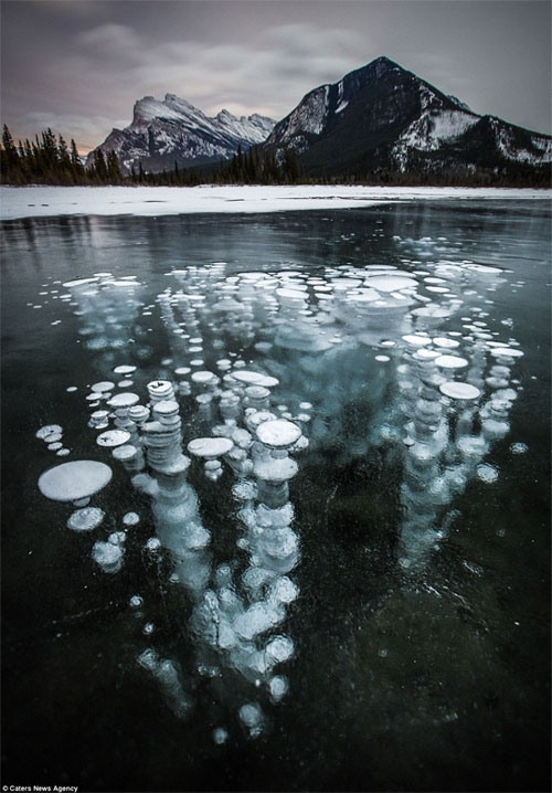 Picture 1 of Admire the strange 'jellyfish' phenomenon in Canada