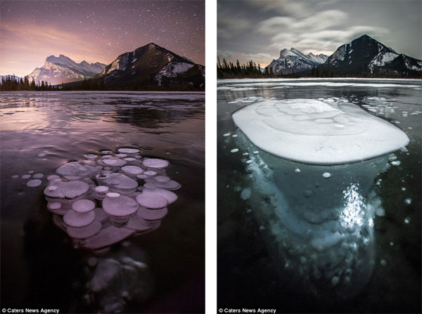 Picture 2 of Admire the strange 'jellyfish' phenomenon in Canada