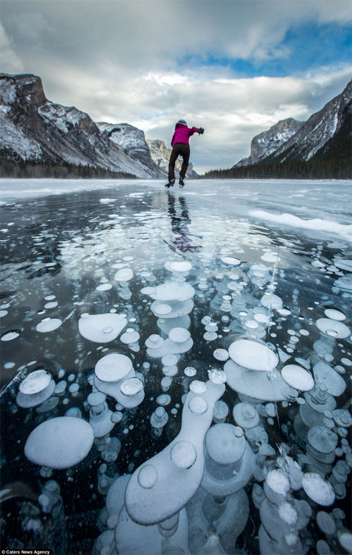 Picture 3 of Admire the strange 'jellyfish' phenomenon in Canada
