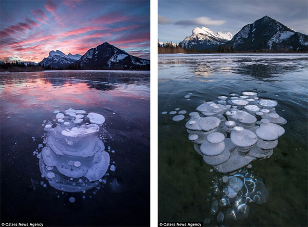 Picture 4 of Admire the strange 'jellyfish' phenomenon in Canada