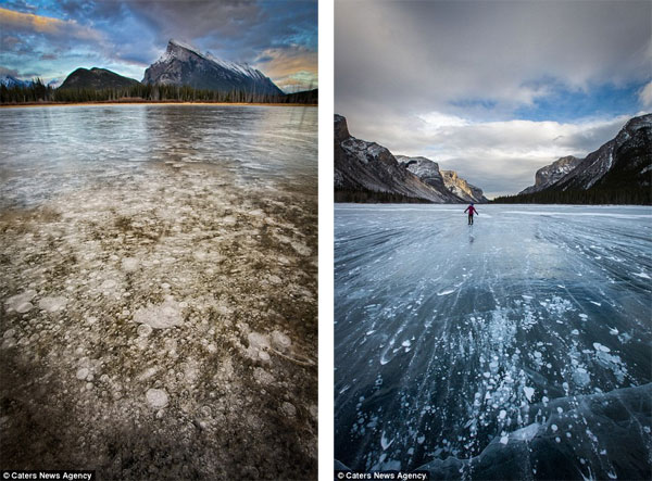 Picture 6 of Admire the strange 'jellyfish' phenomenon in Canada