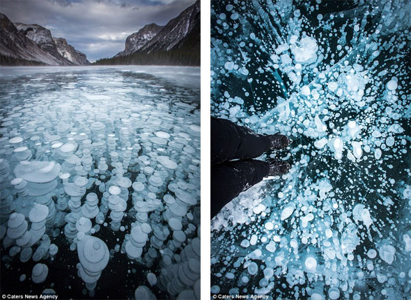 Picture 7 of Admire the strange 'jellyfish' phenomenon in Canada