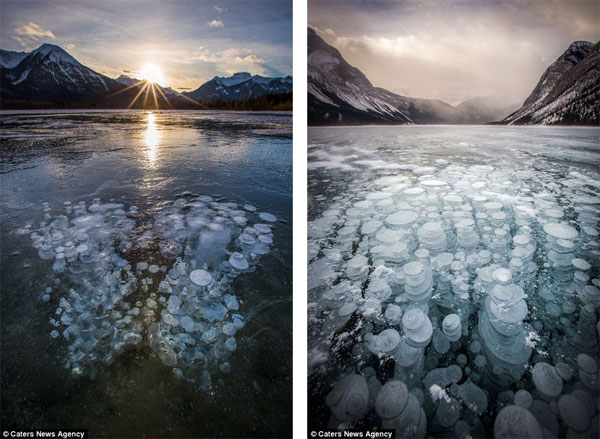 Picture 8 of Admire the strange 'jellyfish' phenomenon in Canada
