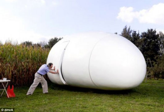 Picture 1 of Admire the unique 'fully cocooned' house