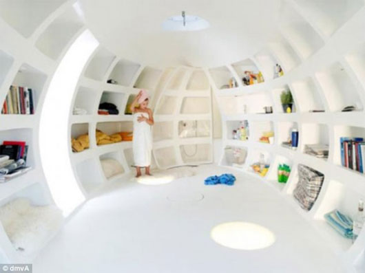 Picture 2 of Admire the unique 'fully cocooned' house