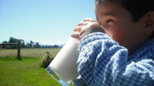 Picture 1 of Advantages of goat milk compared to cow's milk