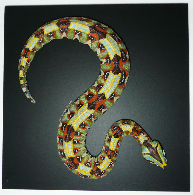 Picture 2 of Africa's most dangerous snake with the sign of death