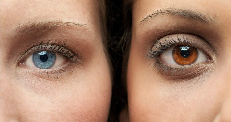 Picture 1 of After 20 seconds of laser projection, the eye color will change from brown to green permanently