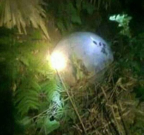 Picture 1 of Again discovered strange objects fall into the garden of the people in Tuyen Quang