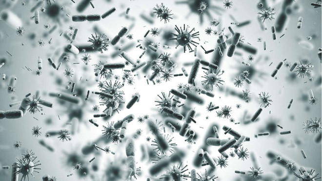 Picture 1 of AI and robots help us find new 6000 viruses