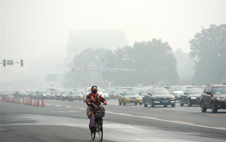 Picture 1 of Air and noise pollution increases the risk of high blood pressure