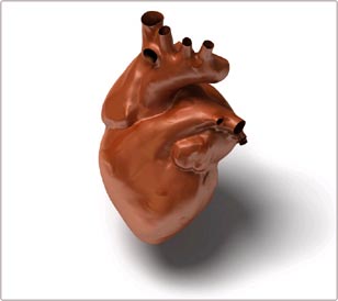 Picture 2 of Air pollution seriously affects the heart