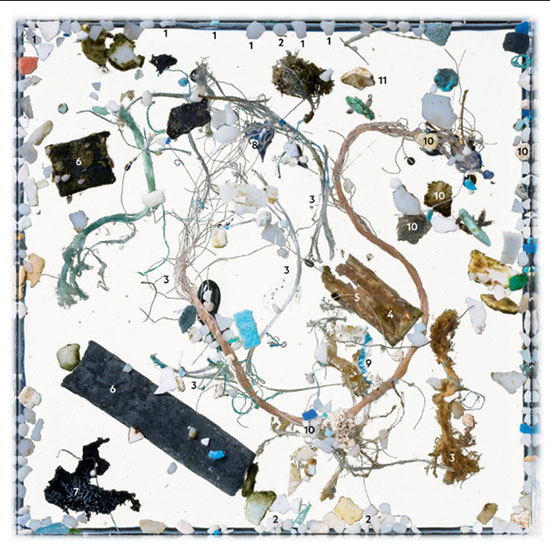 Picture 4 of Alarm plastic trash appears in the fry