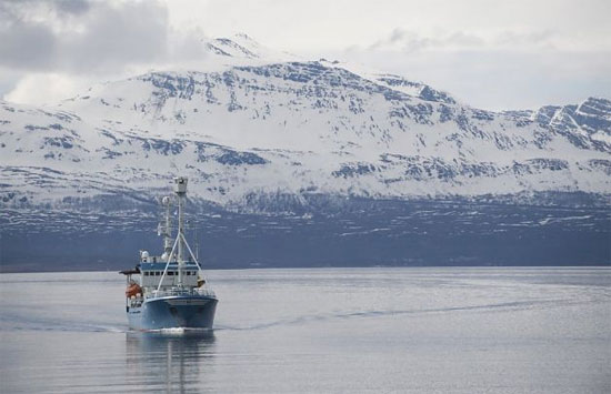 Picture 1 of Alarming acidification in the Arctic Ocean