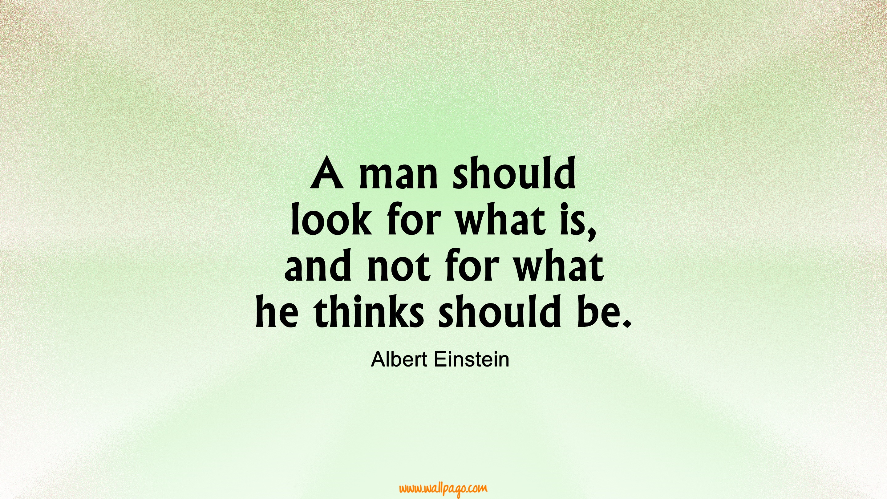 Picture 4 of Albert Einstein and 24 statements inspire the young generation