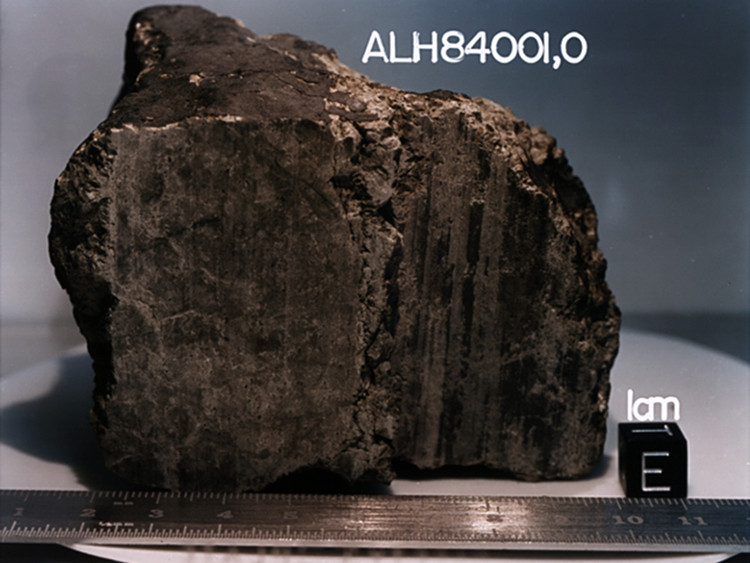 Picture 1 of ALH84001 meteorite and life from Mars?