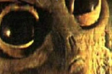 Picture 2 of Aliens died in New-Mexico?